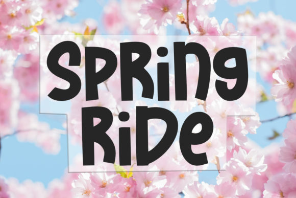 Spring Ride: A Playful Typography Solution for Authentic Branding and Education
