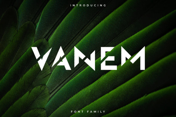 Vanem: The Bold Display Font That Redefines Modern Creativity